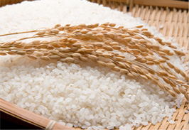 곡성쌀