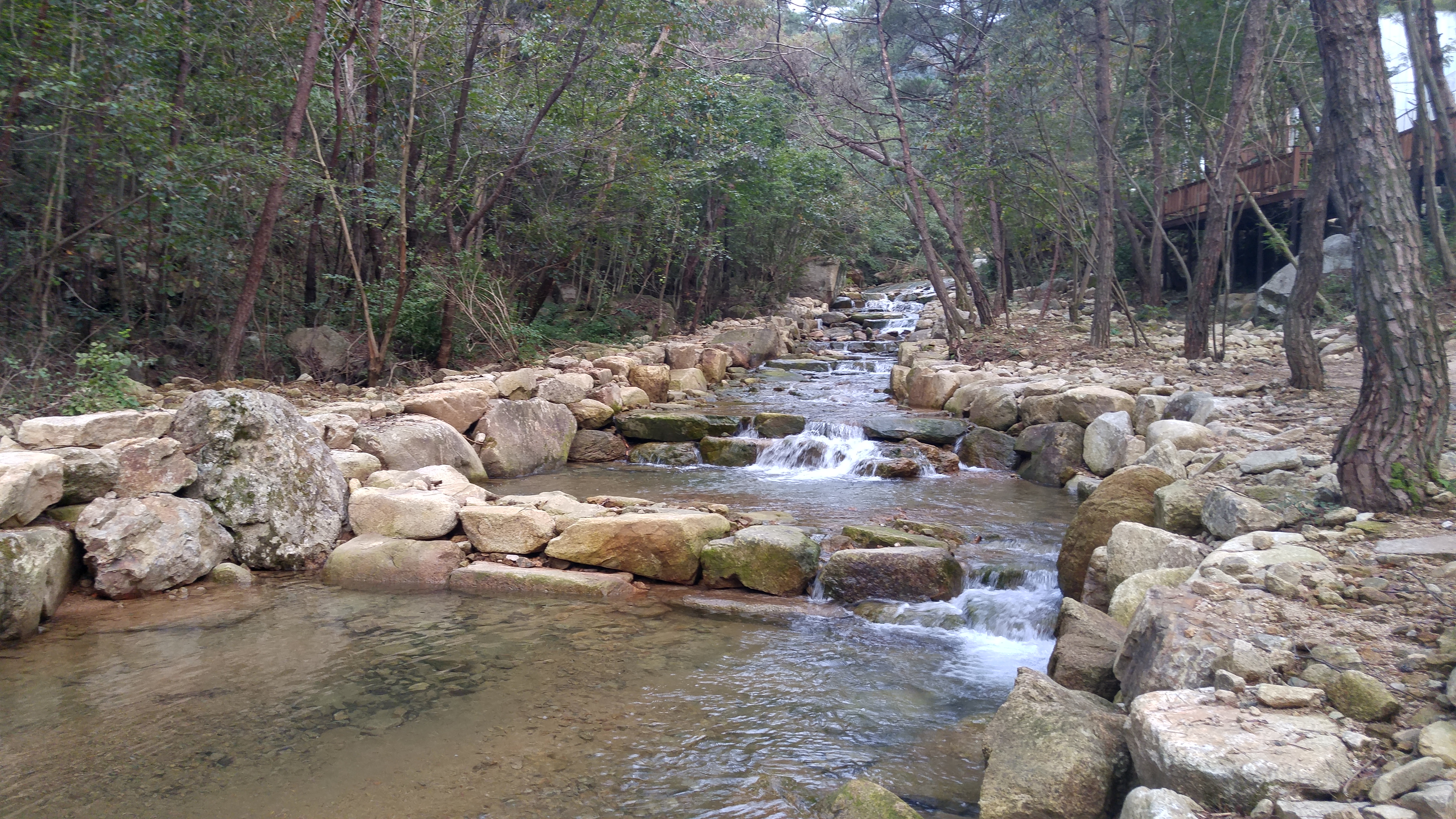 청계동 솔바람야영장 계곡 입니다.
