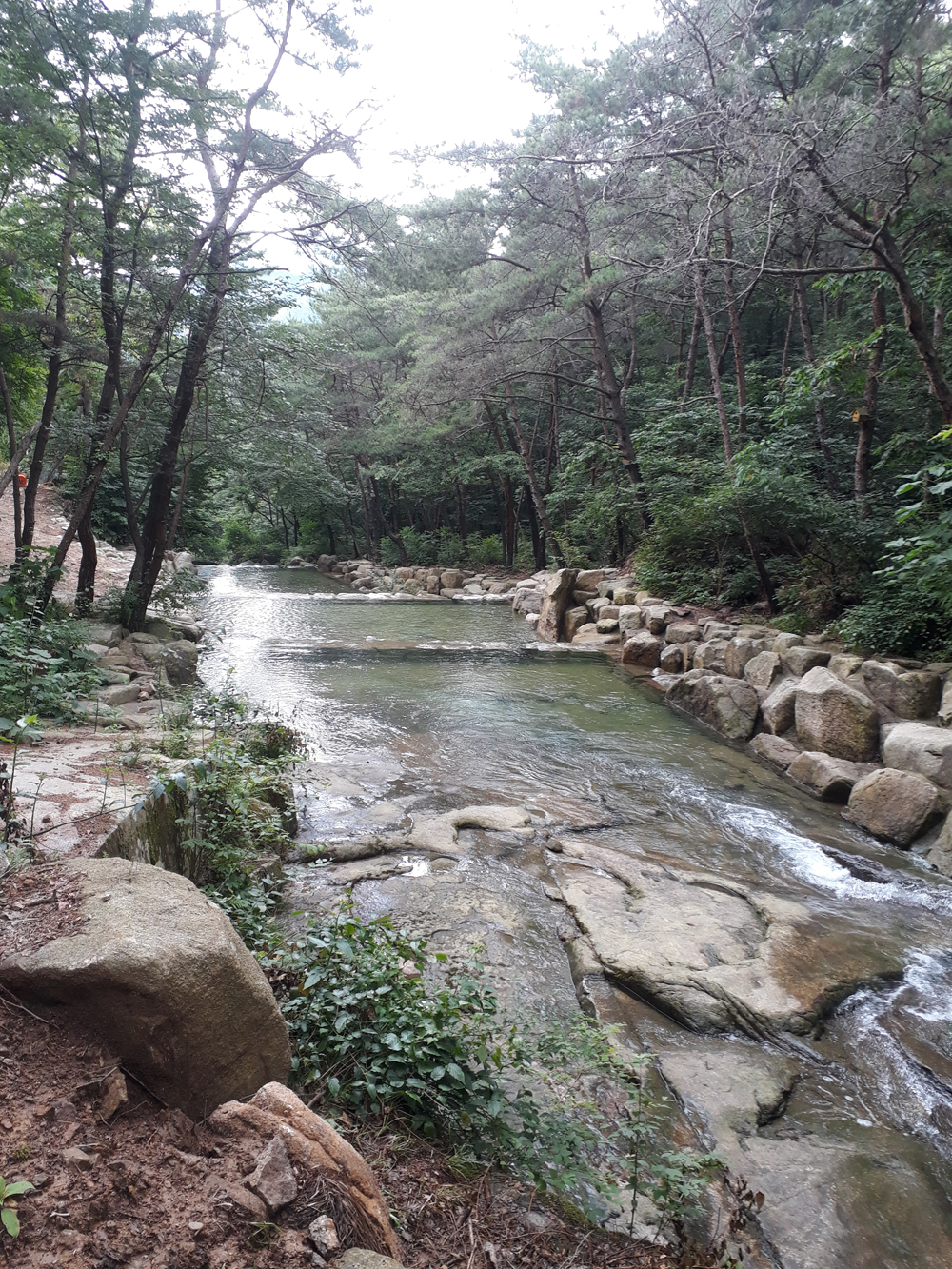 청계동 솔바람 야영장 계곡